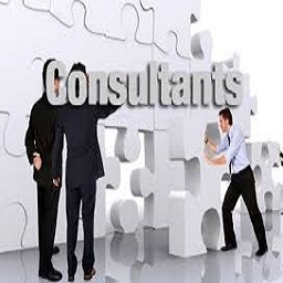 Consultants