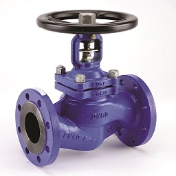 Globe Valves