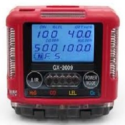 Gas Detection Systems