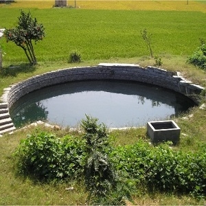 Rain Water Harvesting & Management