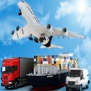 Shipping Companies & Agents