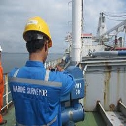 Surveyors - Marine